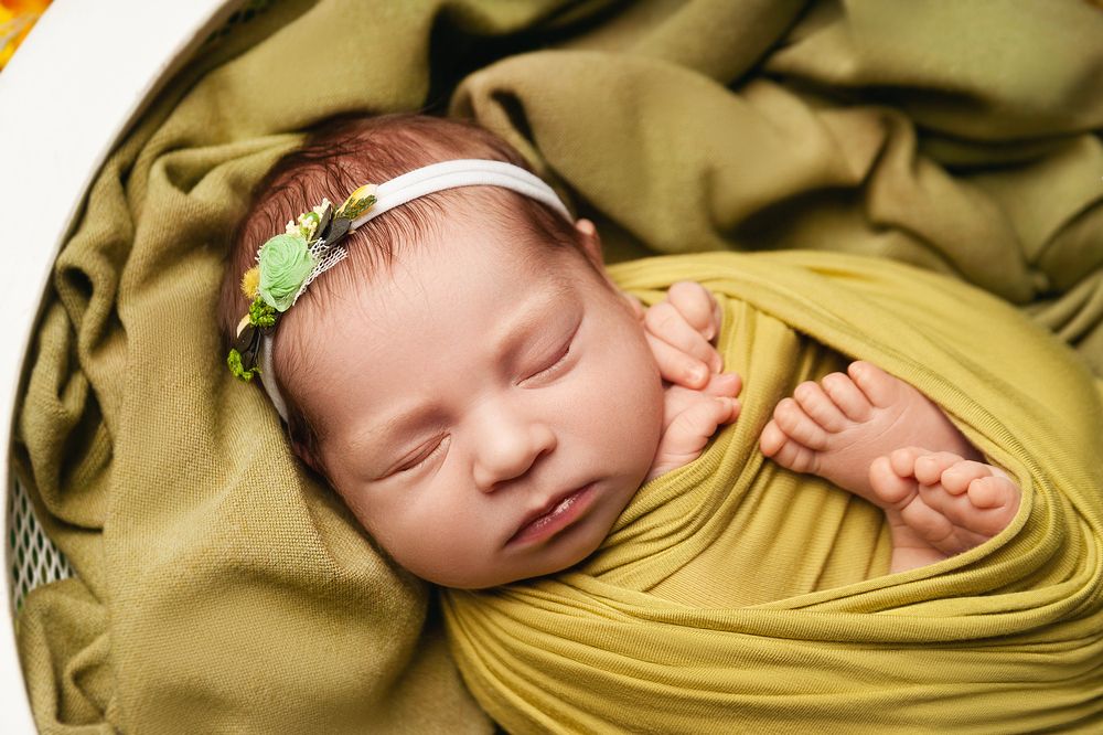 Фотография автора Ману Фалько