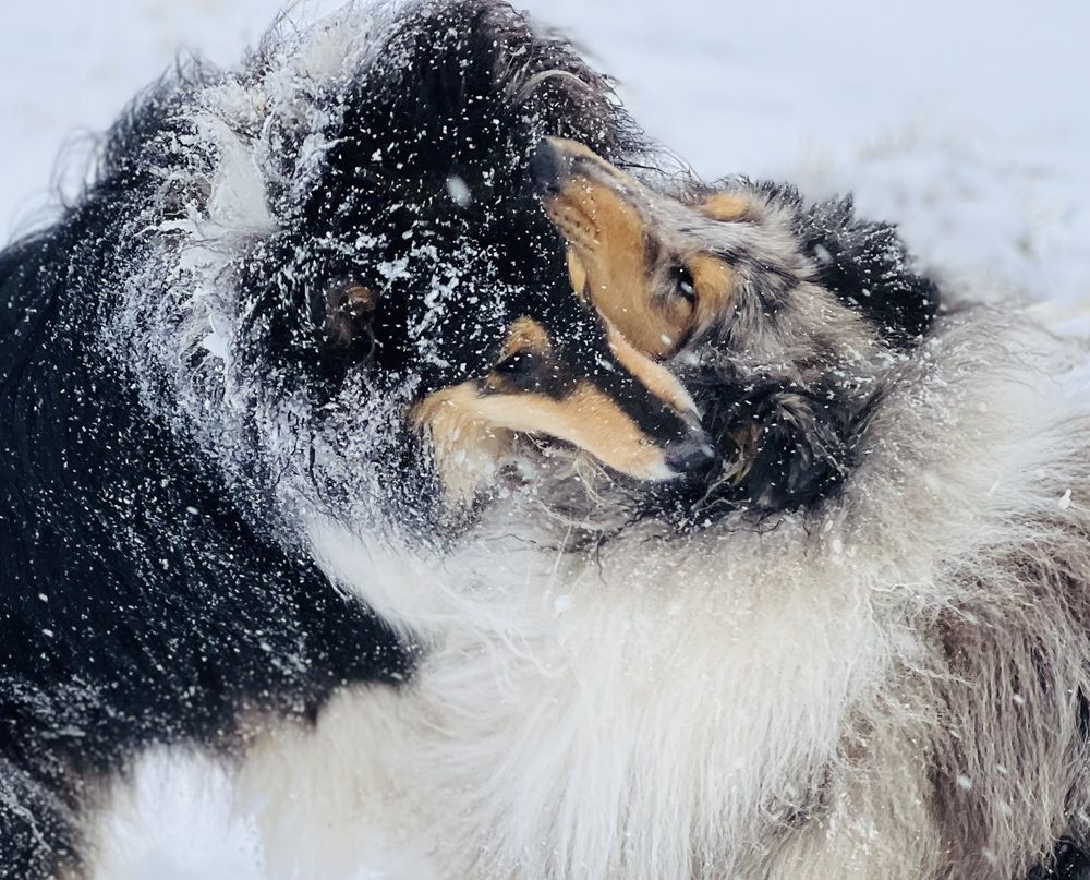 Photograph by Kira Ko