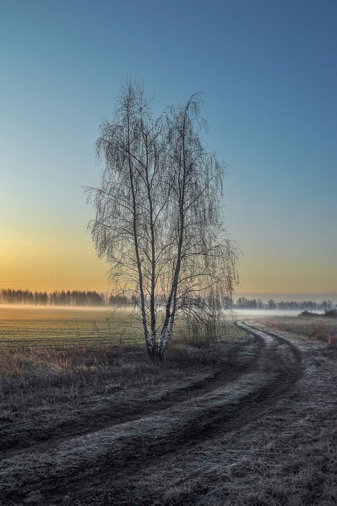 Photograph by Cергей Абакумов