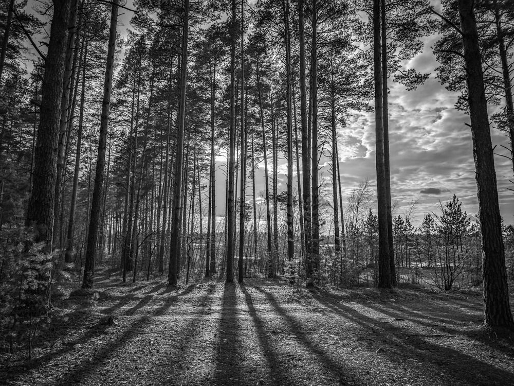Photograph by Кирилл Сидоров
