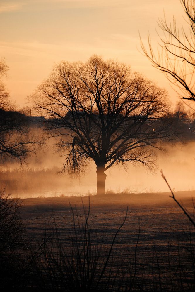 Photograph by Анна Любимова