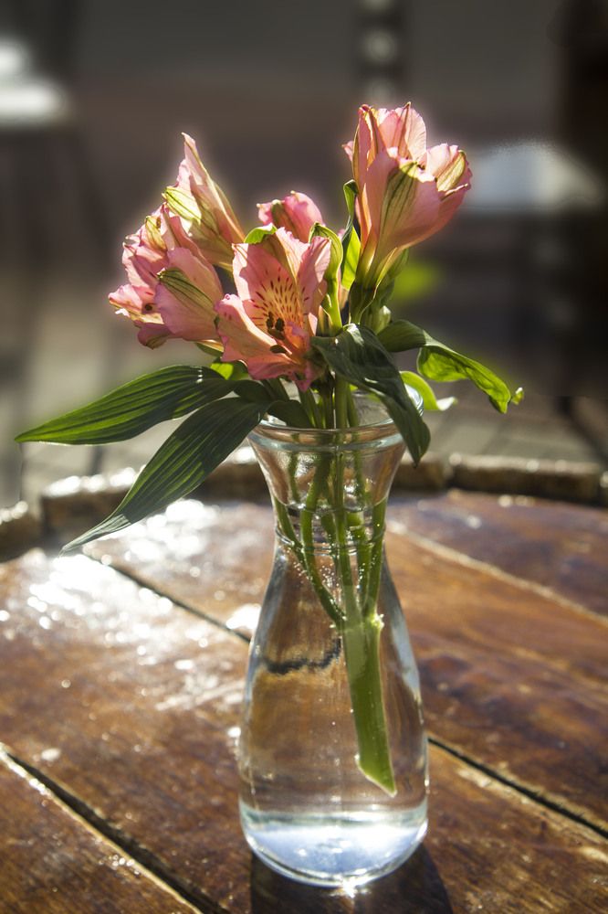 Photograph by Нестеренко Светлана