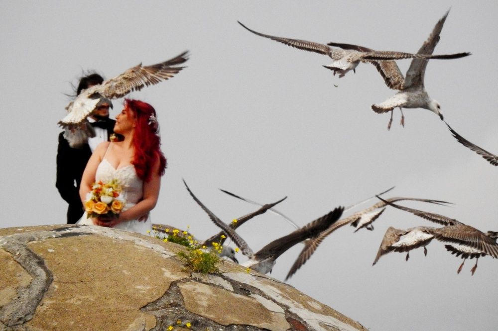 Photograph by fuat cimok