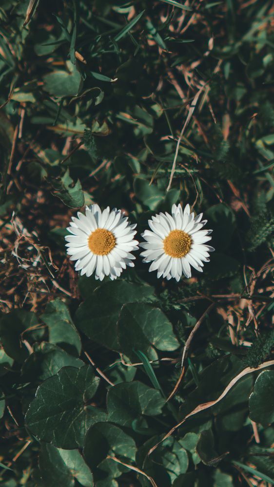 Photograph by Siarhei Makarski