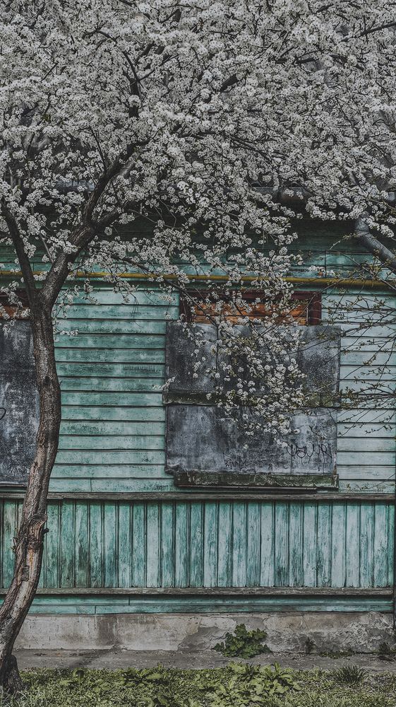 Photograph by Елена Глинская