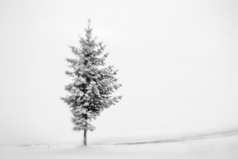 Фотография автора Мария Шишкина