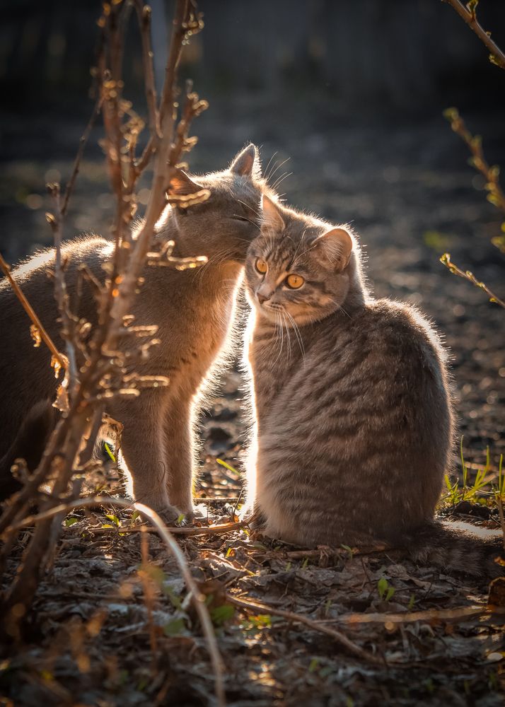 Photograph by Игорь Васильев