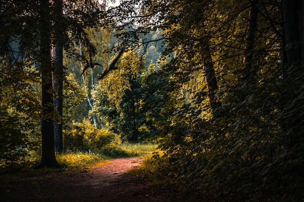 Photograph by Елена Ефимова