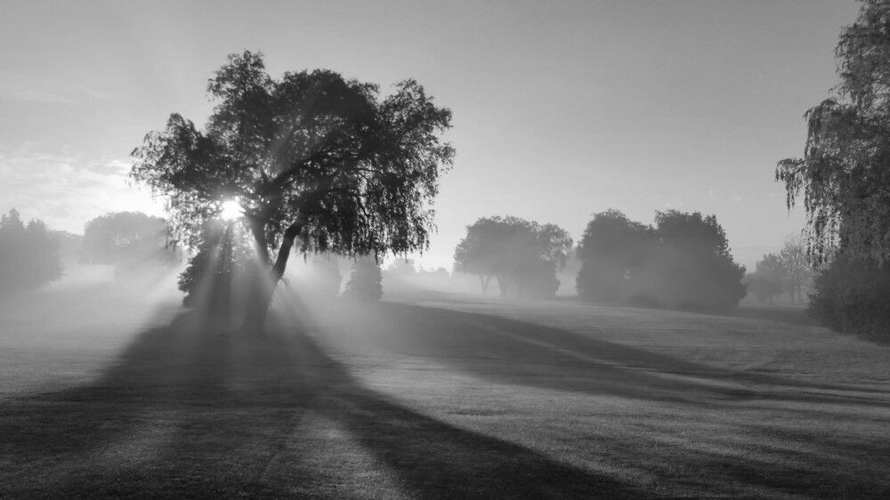 Photograph by Dennise Treijs