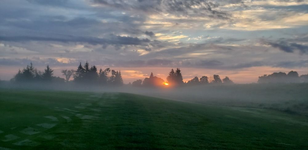 Photograph by Dennise Treijs