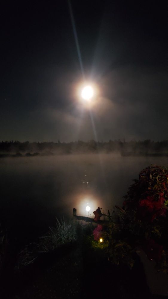 Photograph by Dennise Treijs