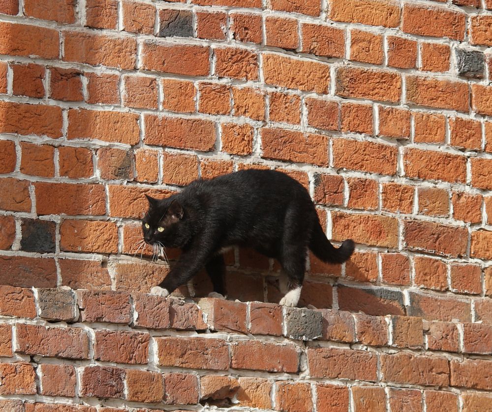 Photograph by Дмитрий Ткаченко