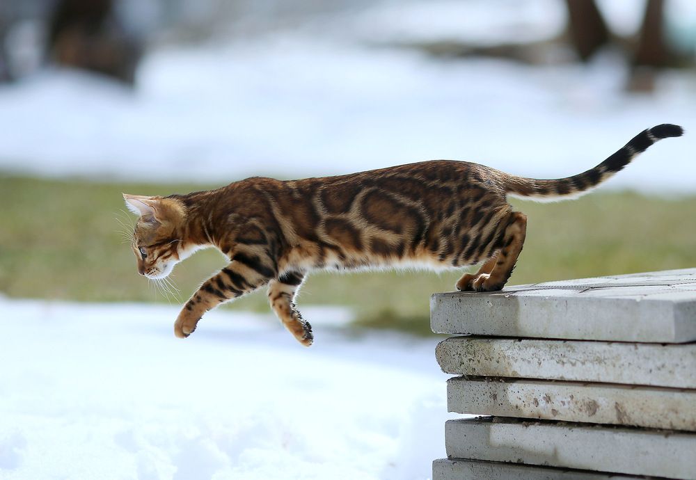 Photograph by Андрей Автухов