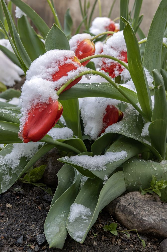 Photograph by Басыров Валерий