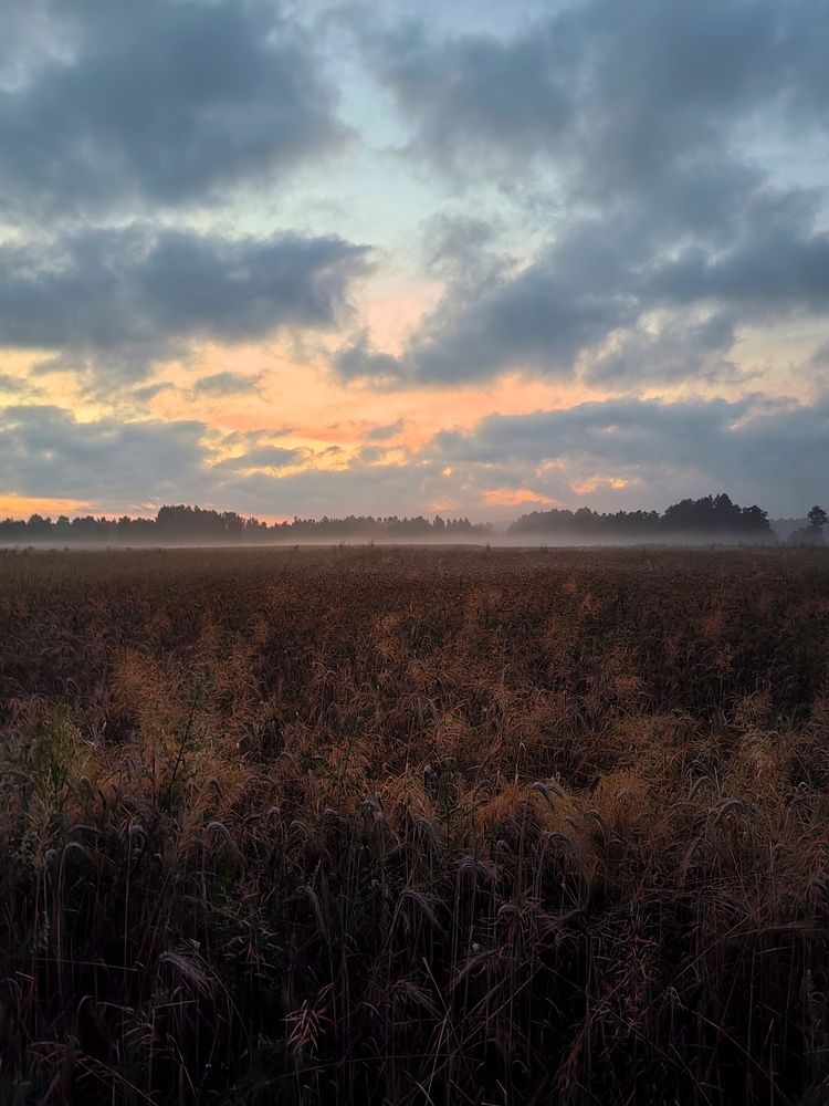 Photo #12132926