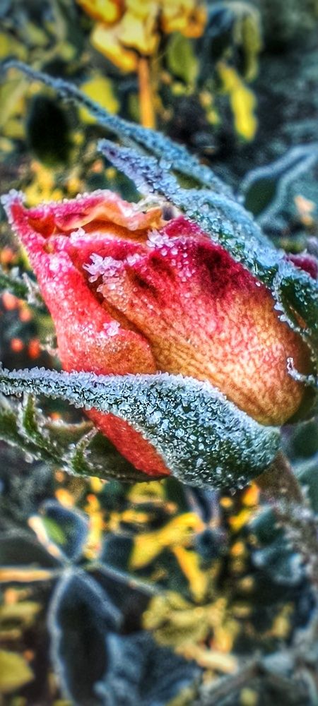 Photograph by Halina Basyanok