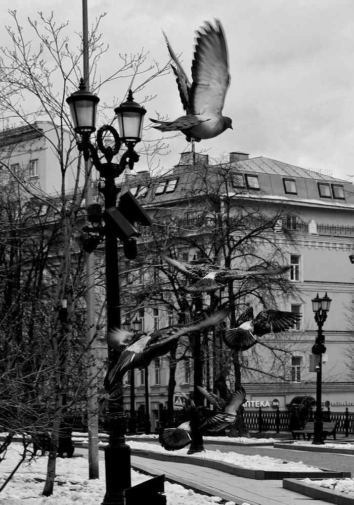 Фотография автора Анна Раздобарина