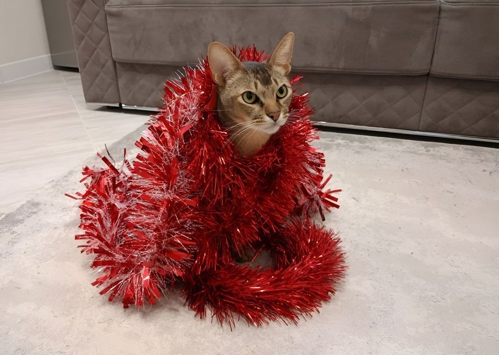 Дарю новогоднее настроение