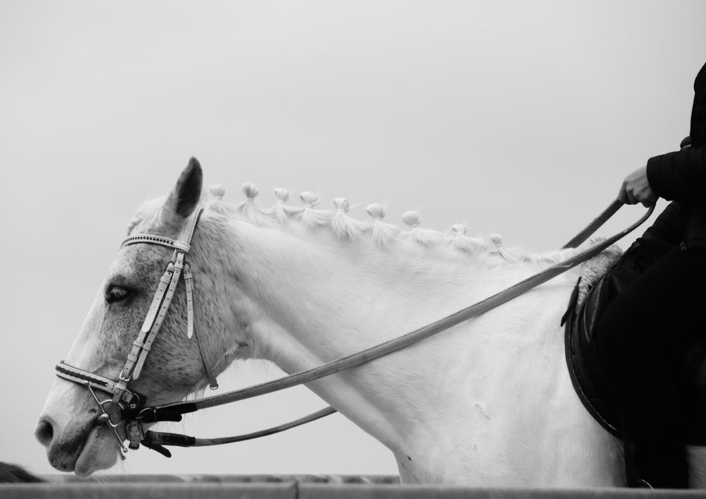 Photograph by Алексей Шевцов