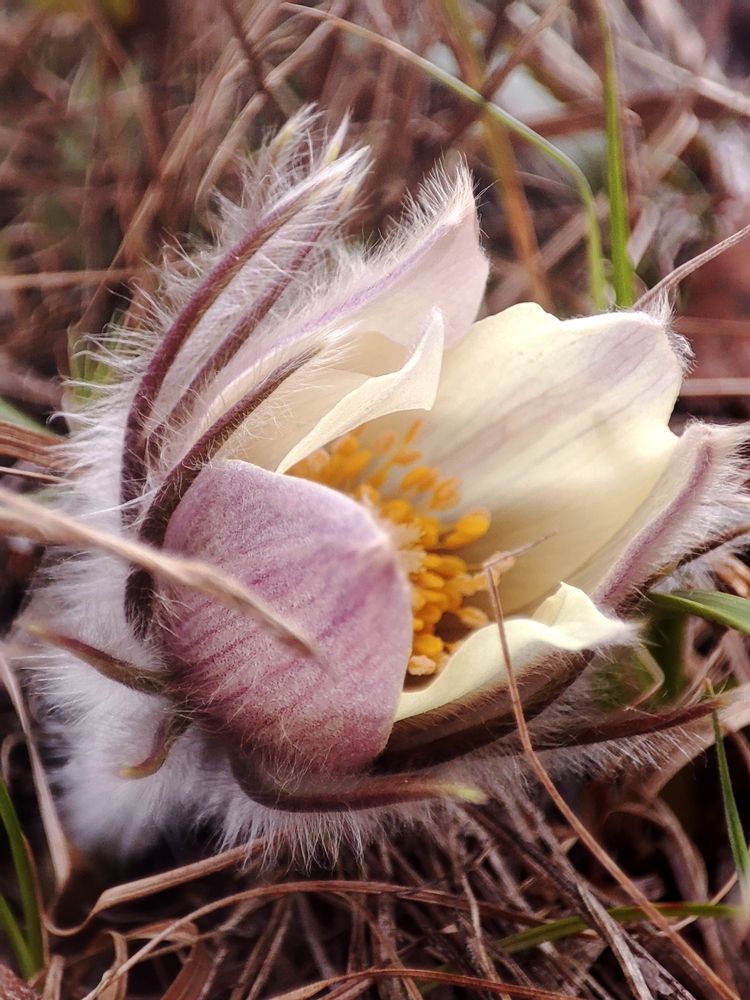 Photograph by Юлия Гинтер
