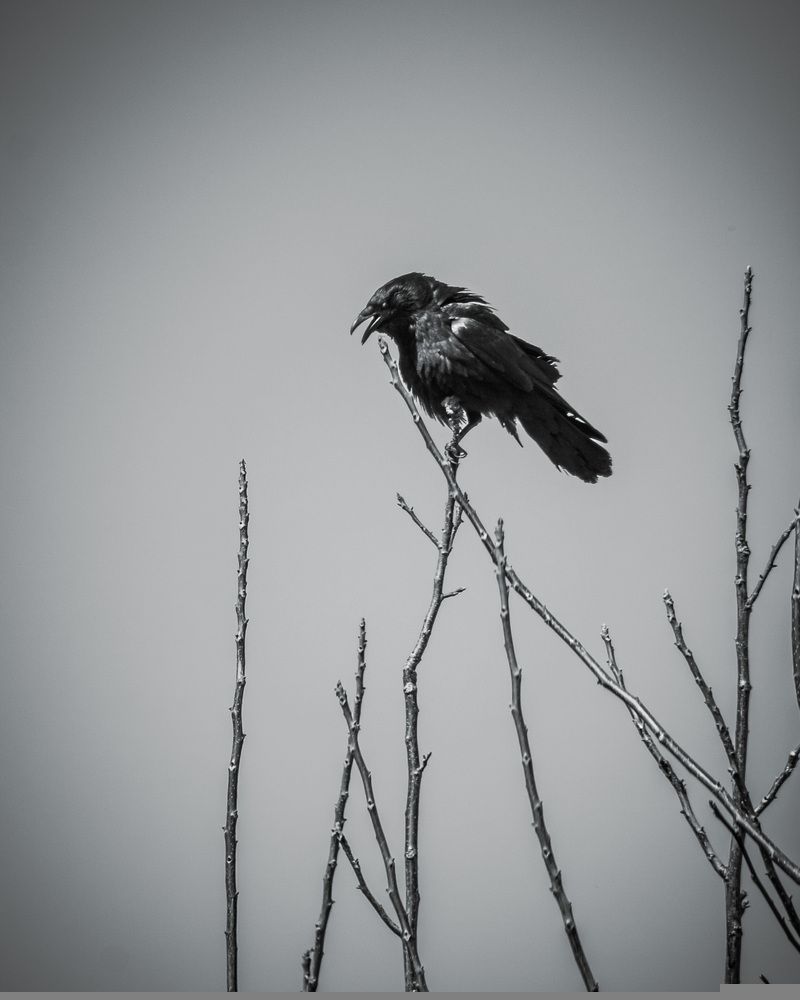 Photograph by Сергей Рыженко