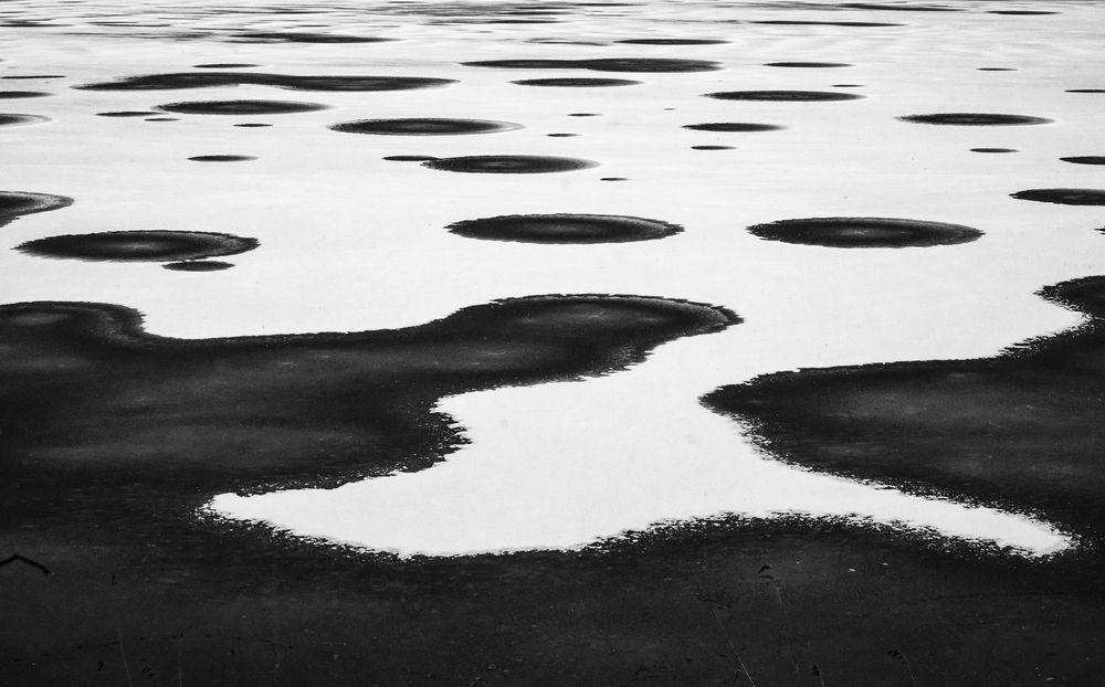 Photograph by Dimitri Bakhtadze