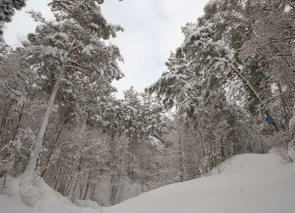 Photograph by Туева Наталья