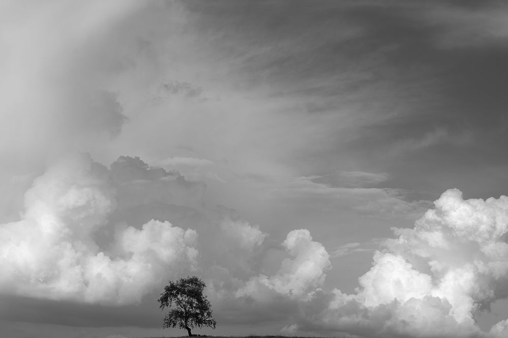 Photograph by Андрей Шарапов