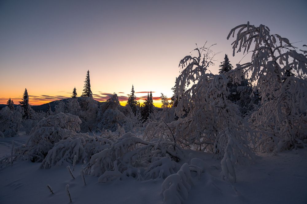 Photograph by Андрей Шарапов