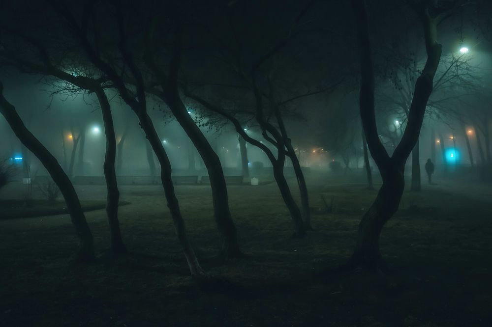 Фотография автора Lyudmila Yakovleva