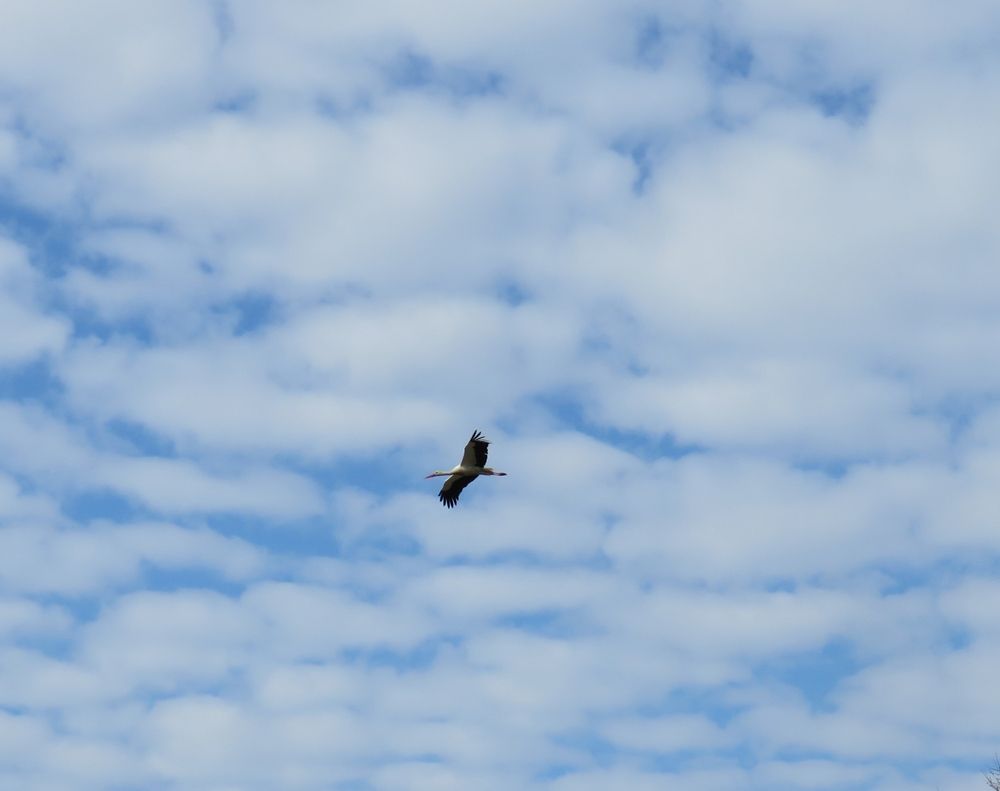 Photograph by Николай