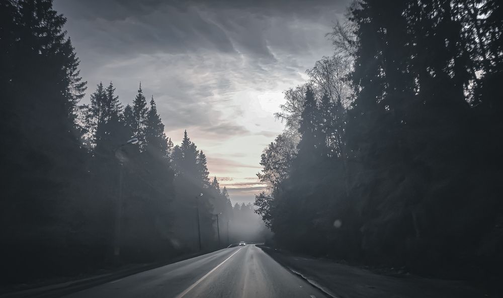 Photograph by Екатерина Никитина