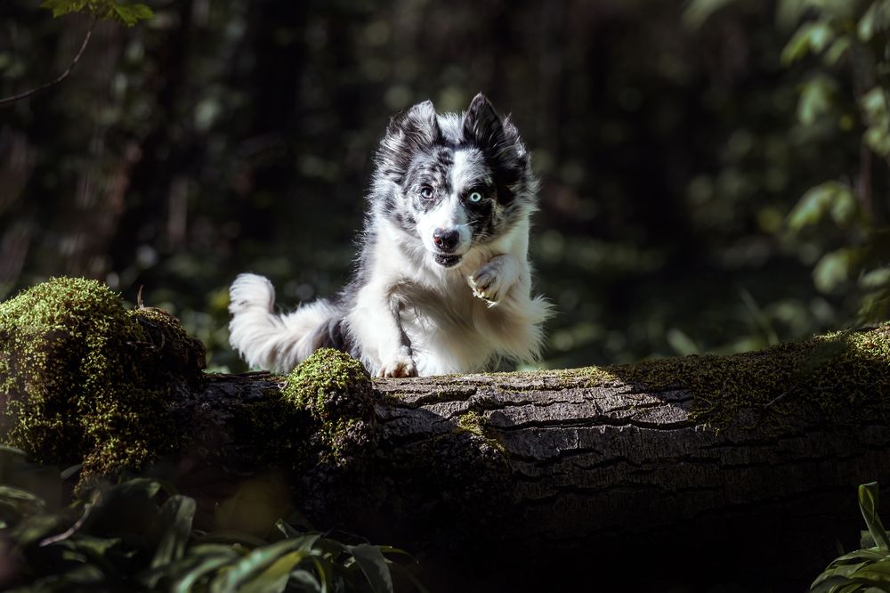 Photograph by Tamara Lebón Sánchez