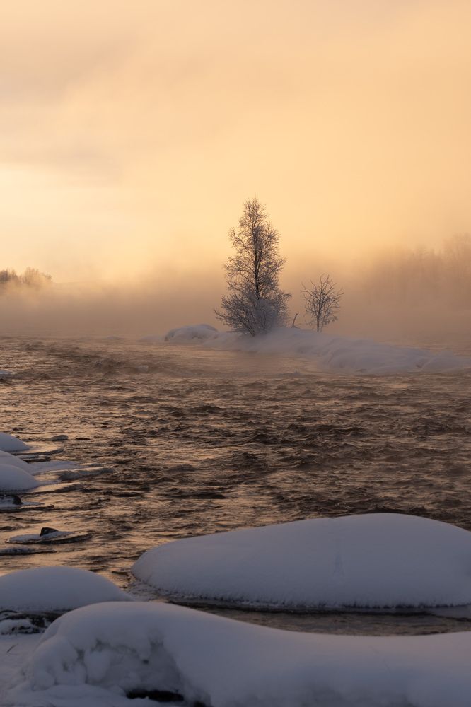 Фотография автора Светлана Зимина