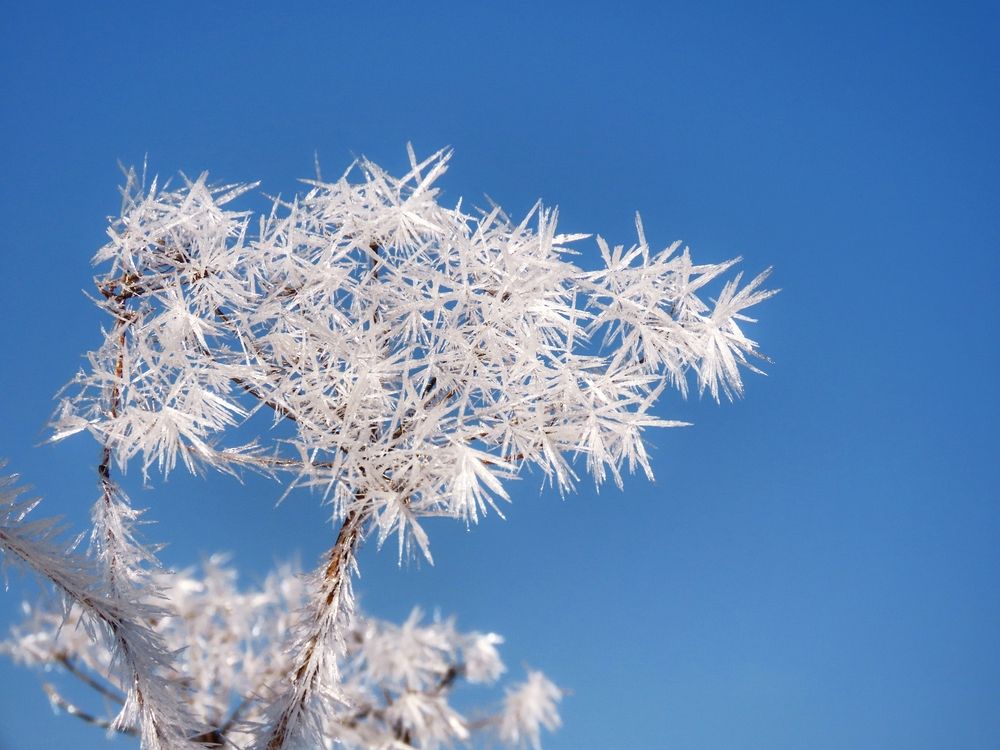 Фотография автора Екатерина Солохина