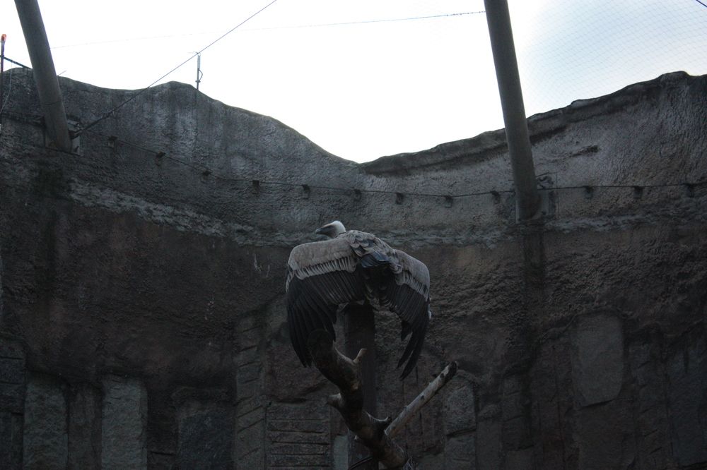 Фотография автора Мостовщикова Мария