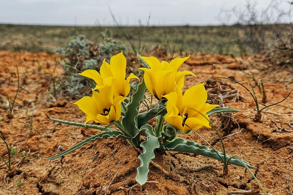 Photograph by Алексей Новиков