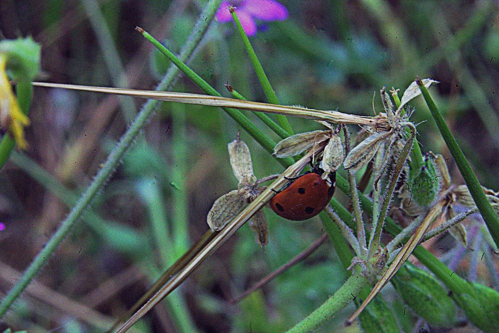Photograph by Сергей Рапопорт