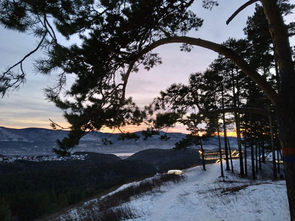 Photo #12134635