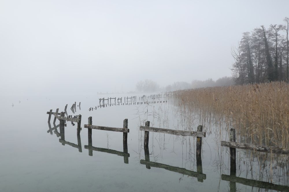 Photograph by Ирина Виноградова