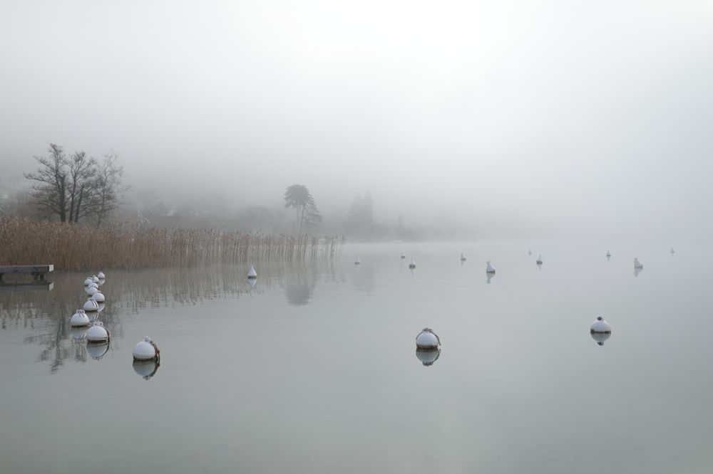 Photograph by Ирина Виноградова