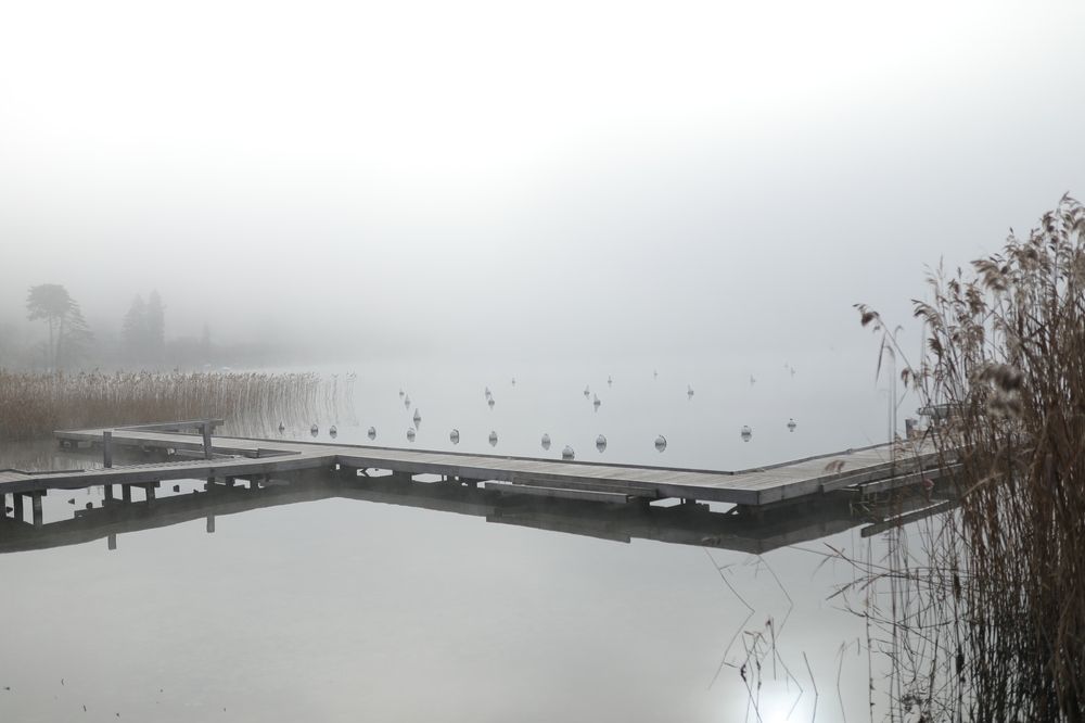 Photograph by Ирина Виноградова