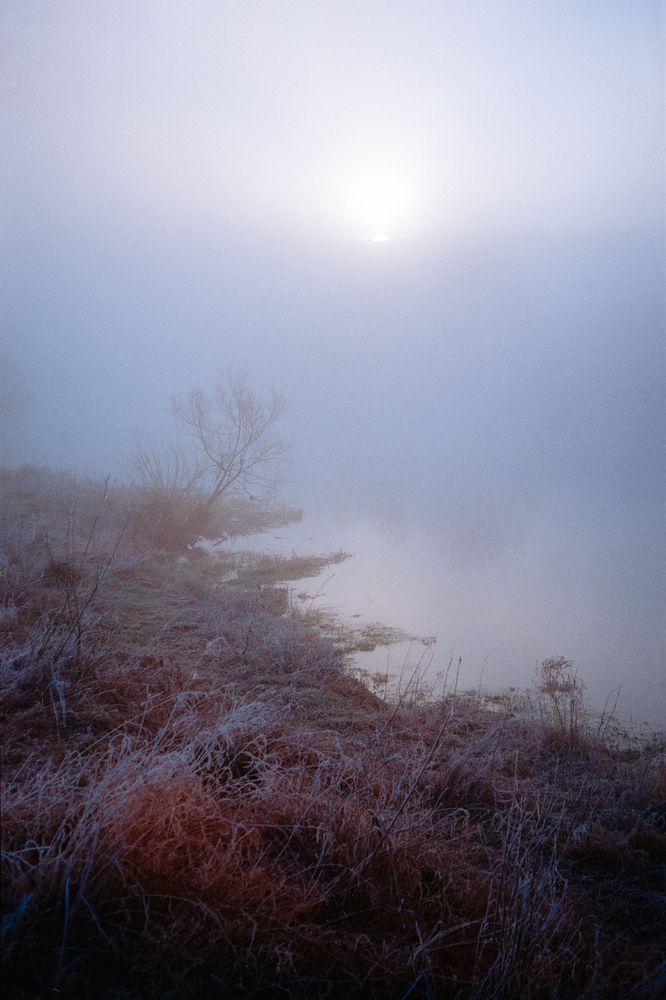 Photograph by Сергей Дивид