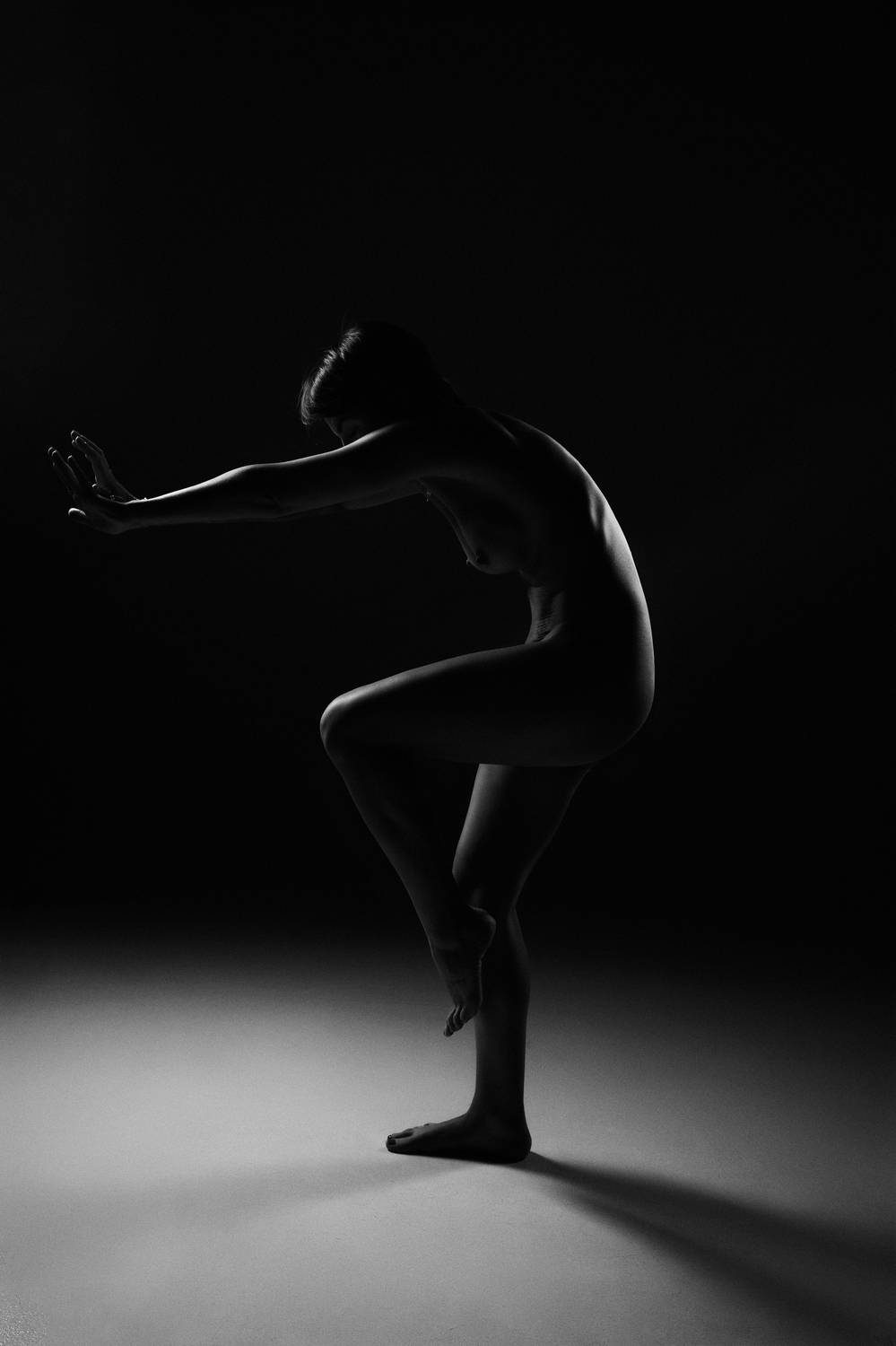 Photo #12134825