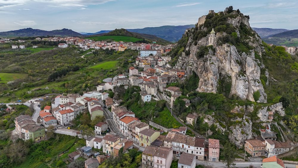 Фотография автора Максимова Дария