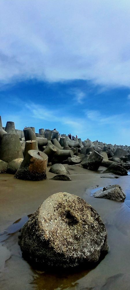 Tetrapod