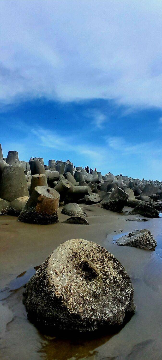 Tetrapod