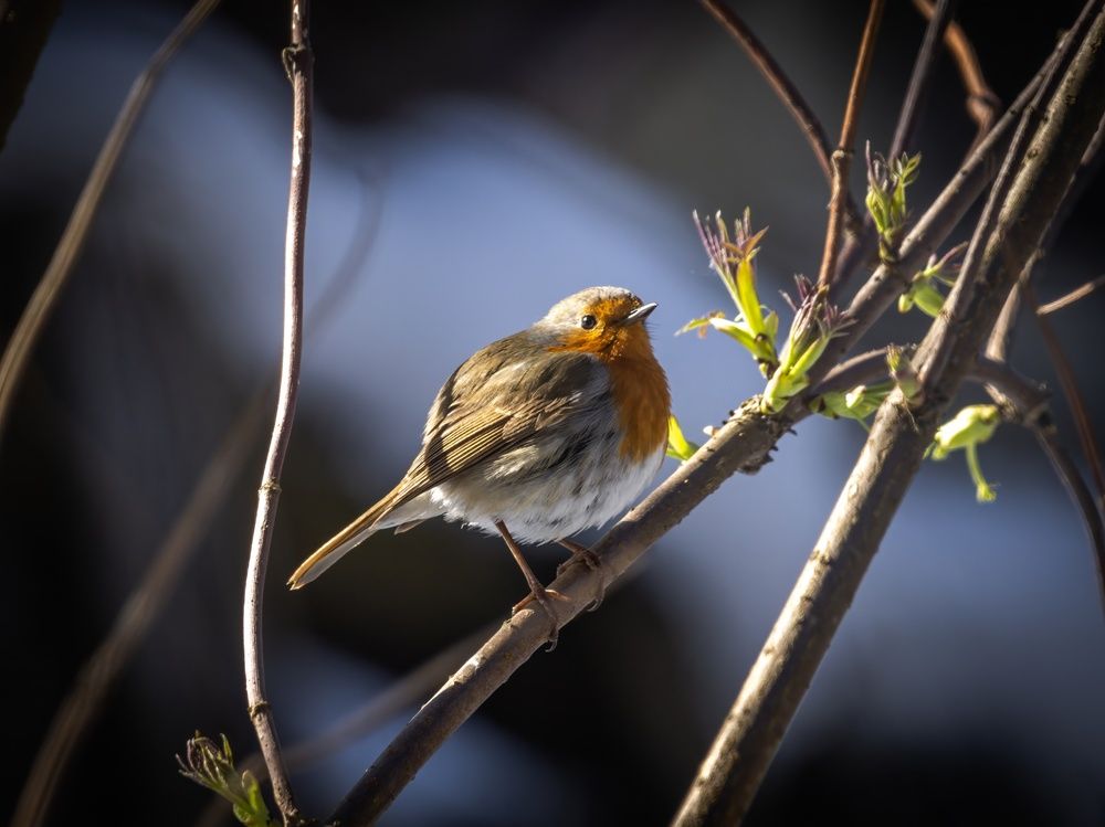 Photograph by Хабаров Сергей