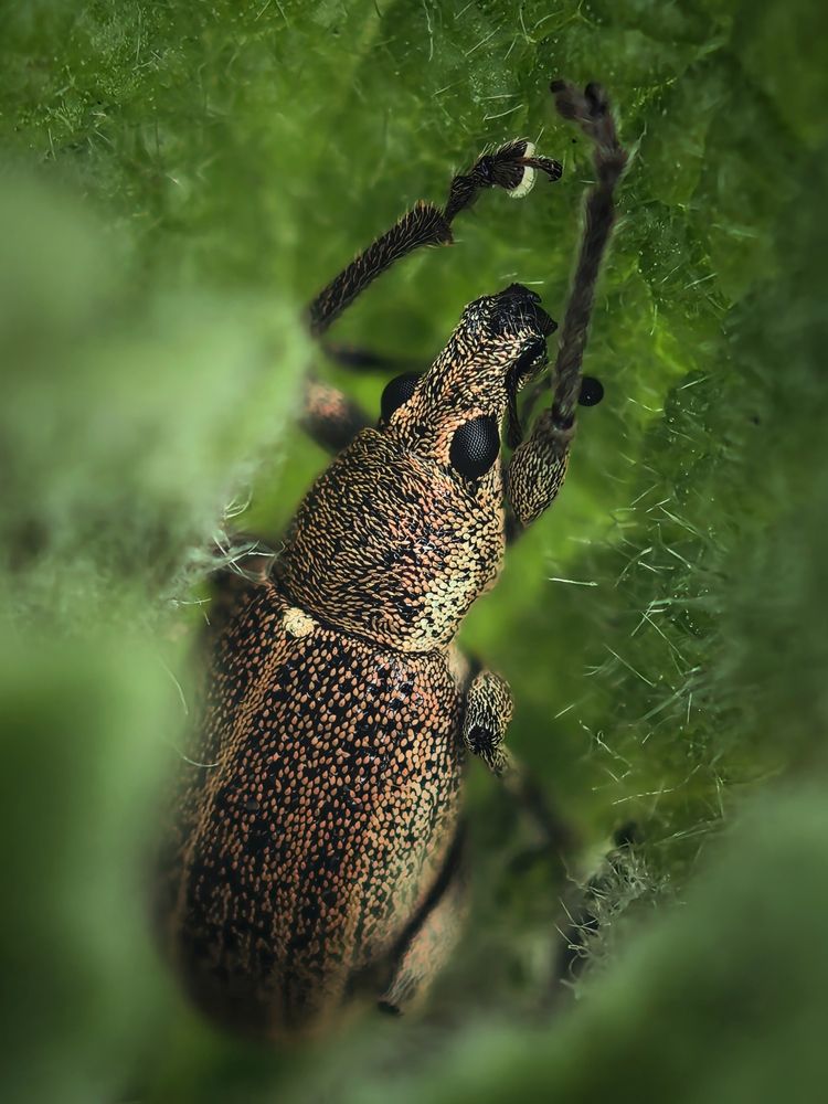 Photograph by сергей таранов