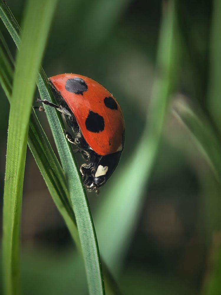 Photograph by сергей таранов